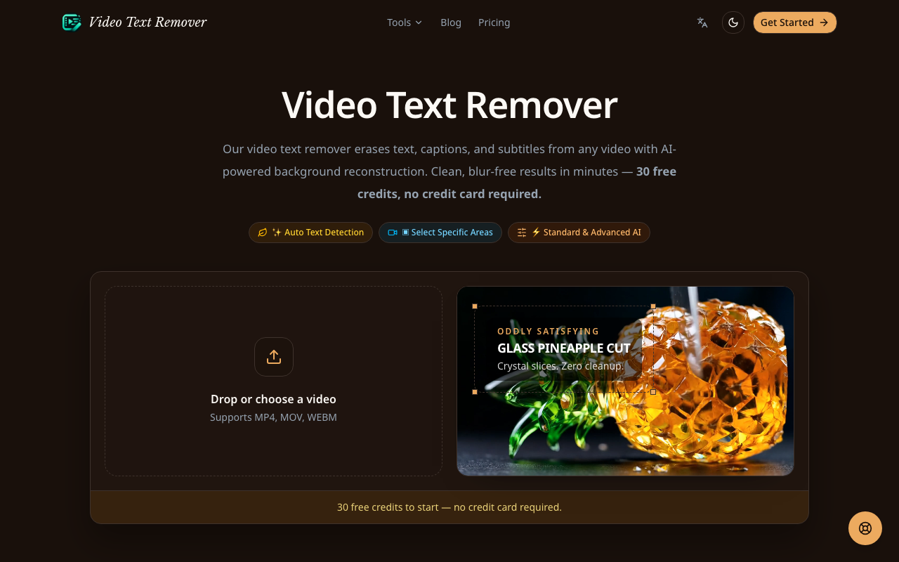 Video Text Remover