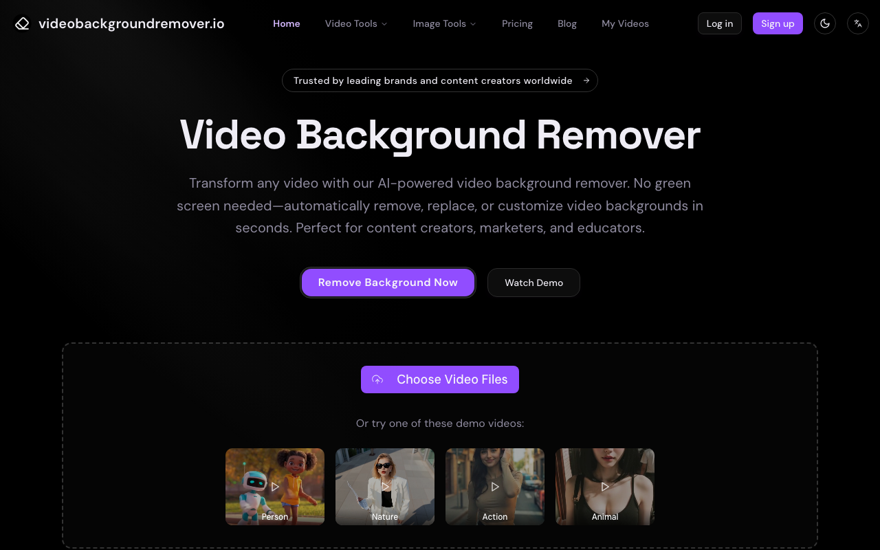 videobackgroundremover