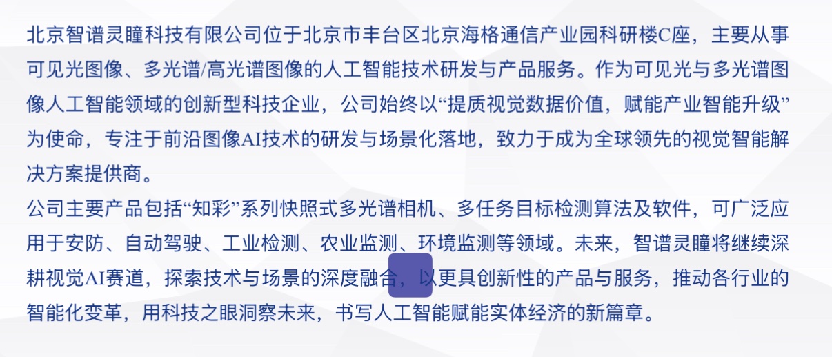 AI产业合伙人渠道赋能沙龙 1