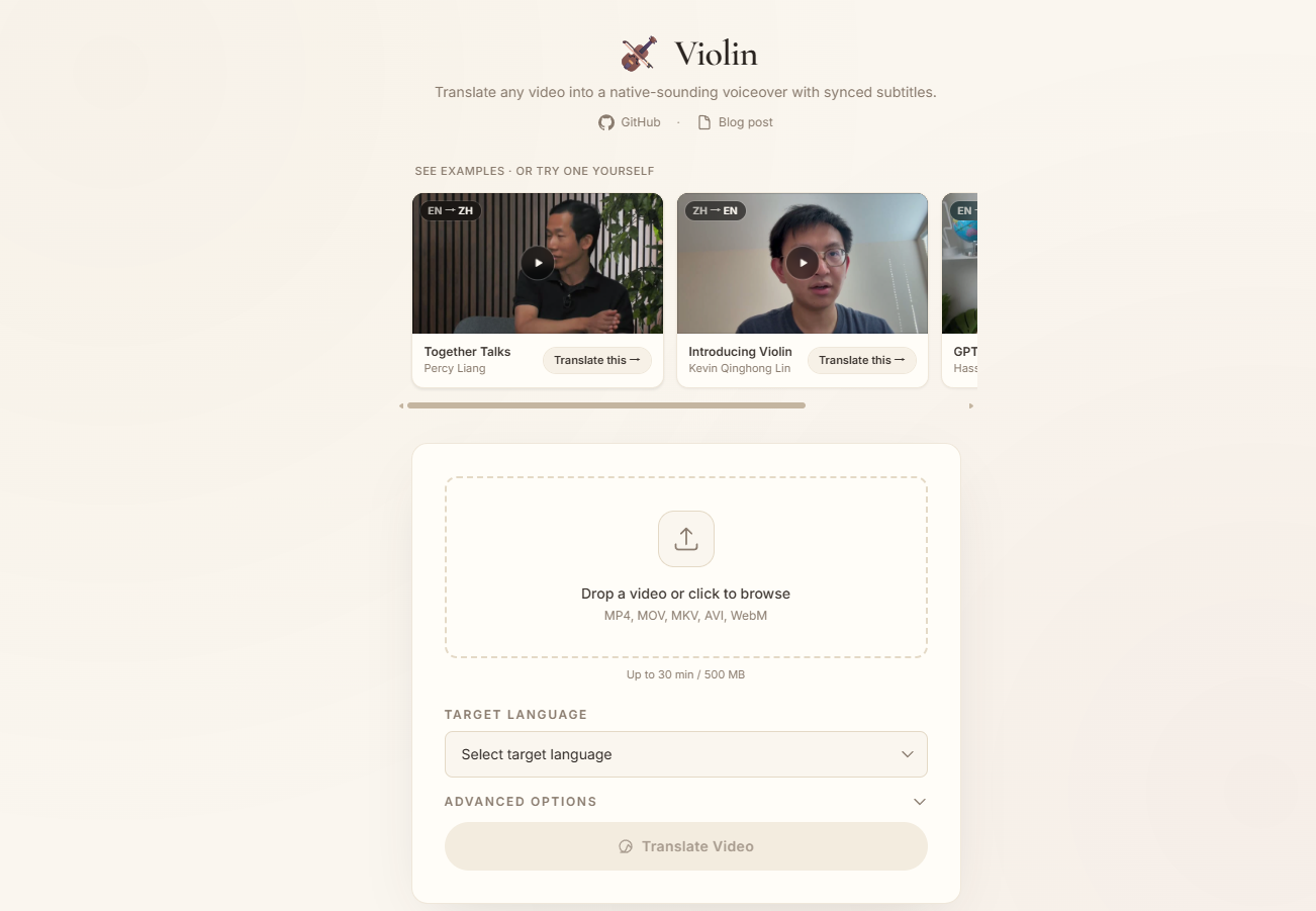 Violin