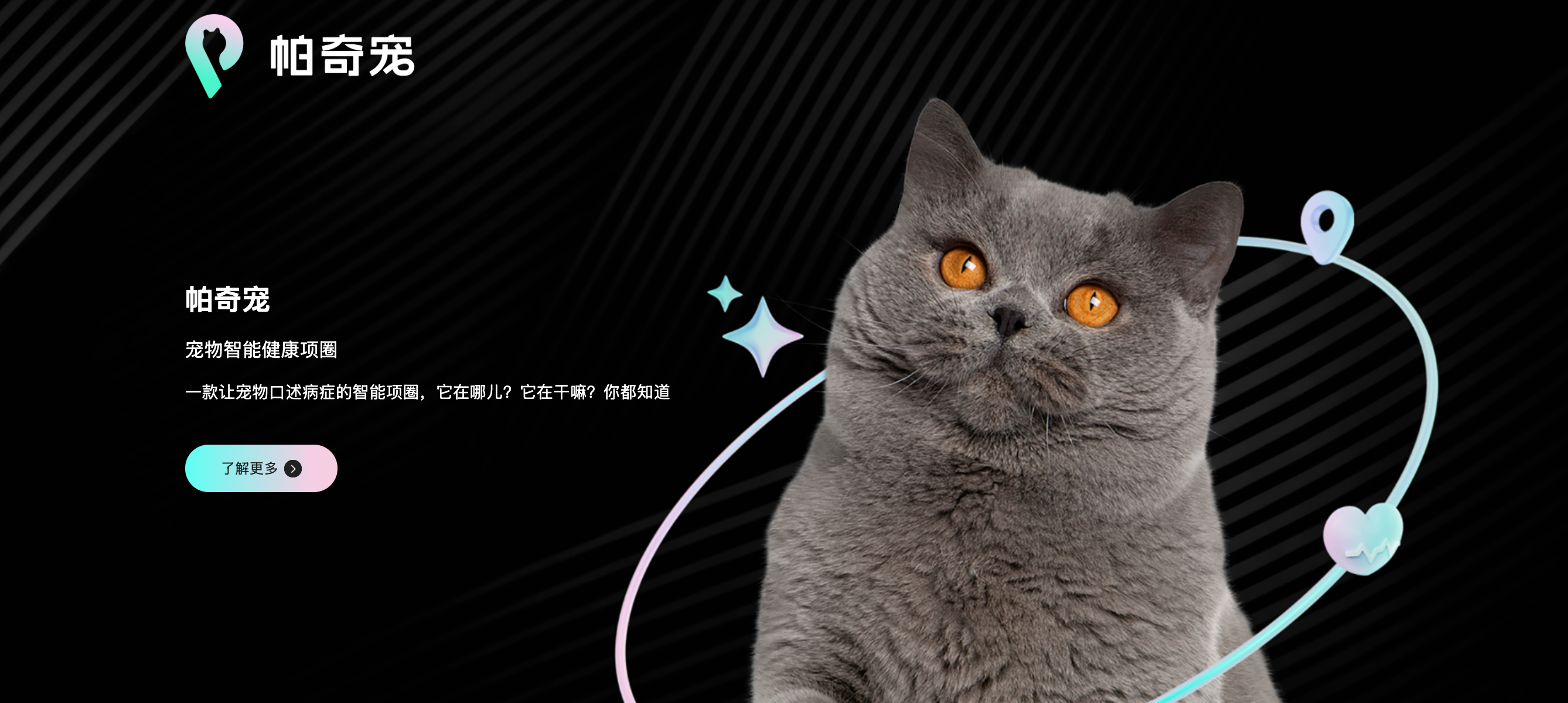 帕奇宠