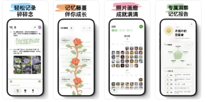 心光