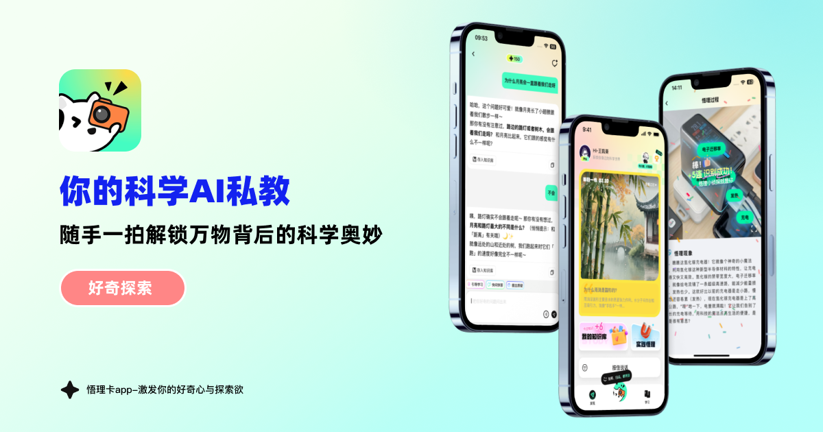 科学悟理卡